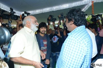 Bengal Tiger Movie Opening